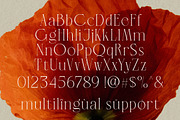 LT Verola – Rich Serif Ligature Type, a Serif Font by Luminotype (Thumbnail 14 of 15)