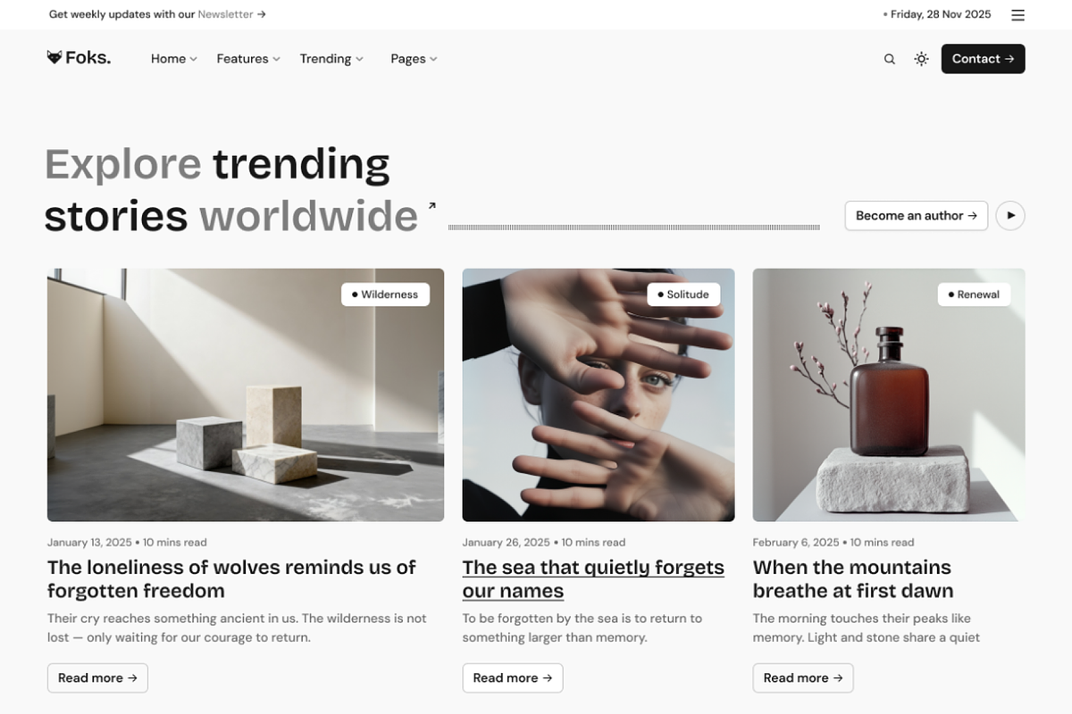Foks - Lightweight Blog WP theme, a WordPress Template by AliThemes (Photo 3 of 6)
