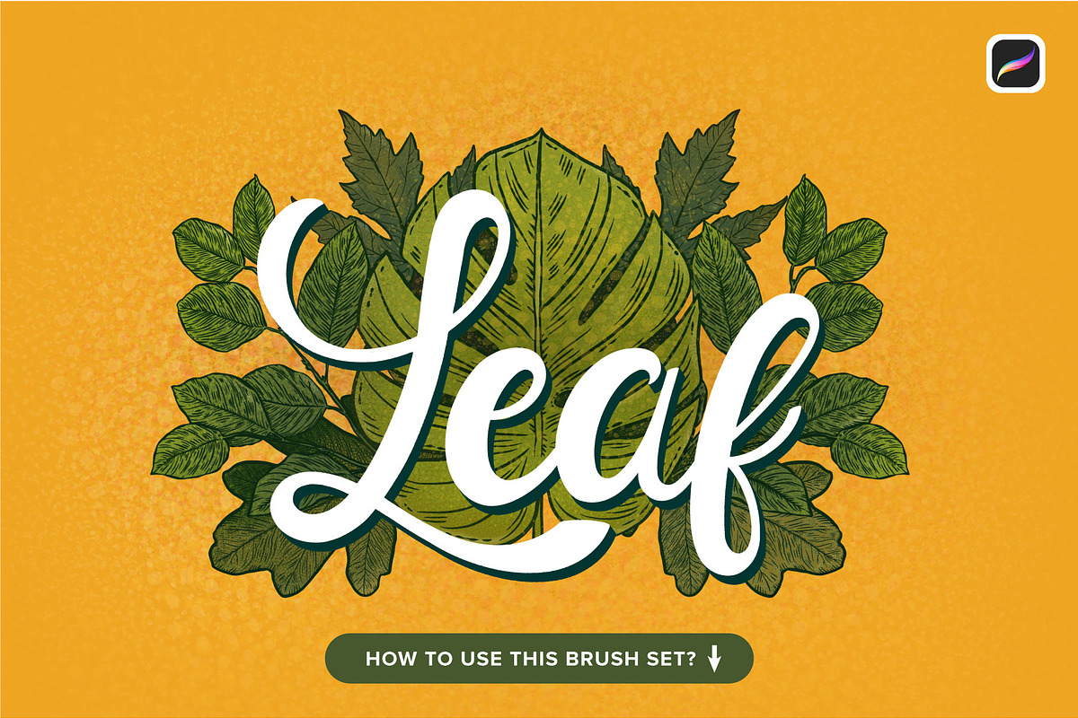 12 Leaf Procreate Stamp Brushes, a Brush Add-On by Riveros Illustration (Photo 7 of 11)