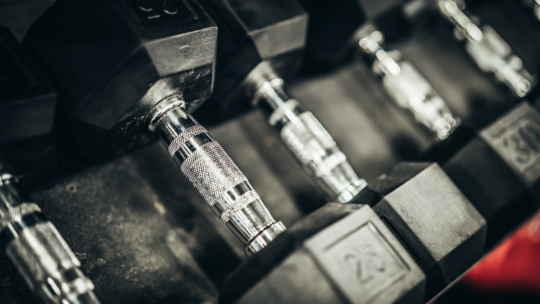 Hex Bells On Rack At A Gym, a Photo by Snake Eye Media
