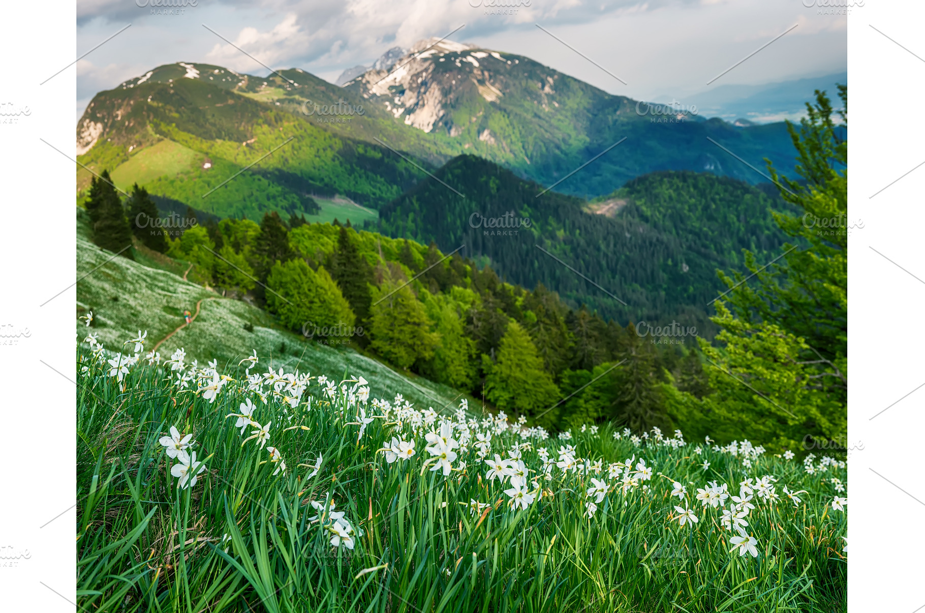 Beautiful mountain landscape with, a Nature Photo by Nature and travel