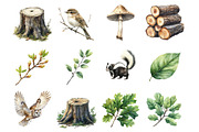 Spring Woodland Clipart, an Illustration by Design Market (Thumbnail 2 of 5)