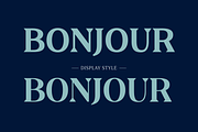 Clarinette, a Serif Font by OceaneM (Thumbnail 4 of 8)