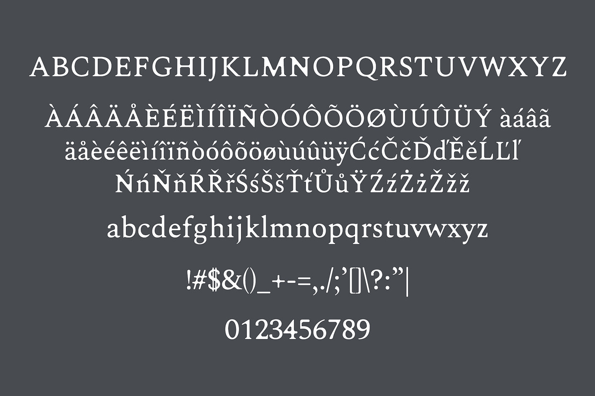 Karoll Modern Serif Font Family preview 2