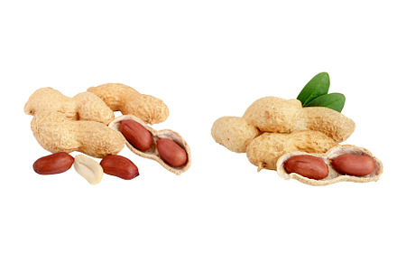 peanuts with leaf isolated on white, a Food & Drink Photo by NataPhoto
