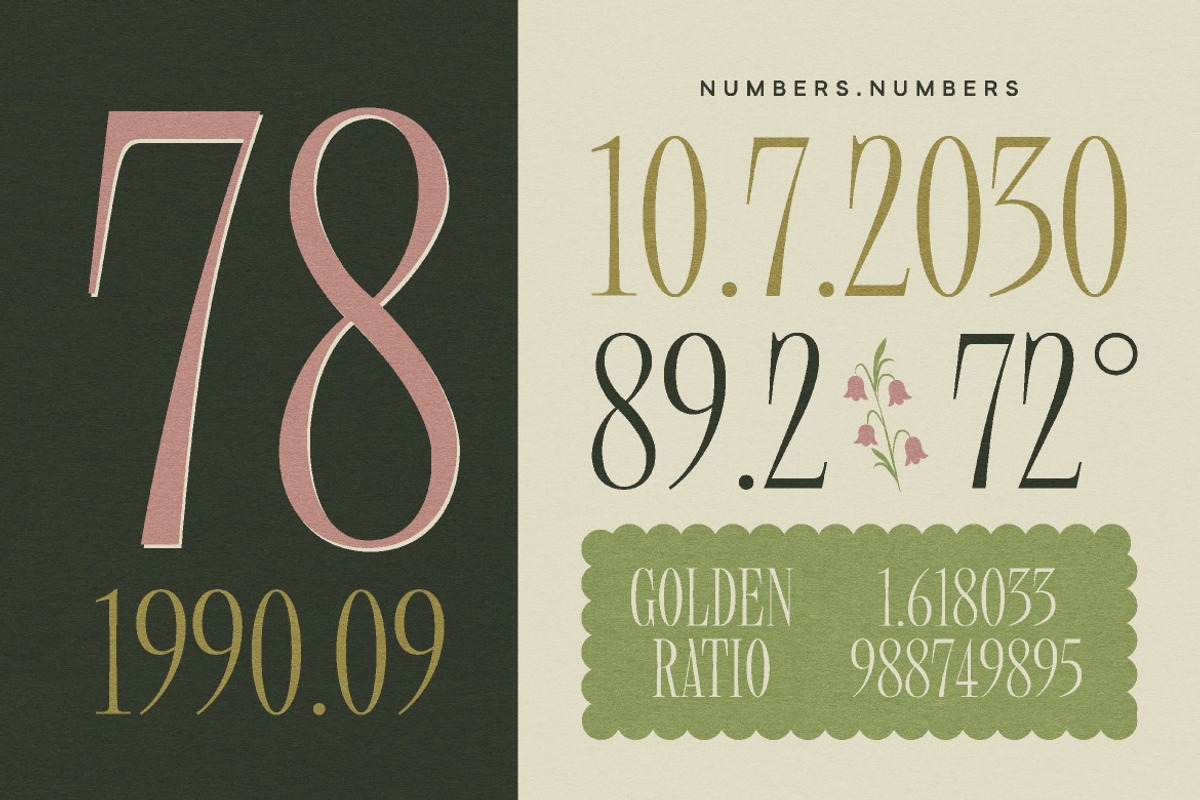 Modiserif, a Serif Font by graphicook (Photo 9 of 10)
