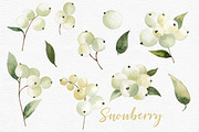Watercolor Snowberry set, a Graphic by Colibri Watercolor (Thumbnail 2 of 5)