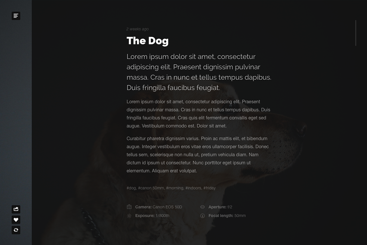 Foto tumblr theme, a Websites & App Template by Pixel Revel (Photo 2 of 4)