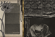 Crimson Vengeance | Collage Kit, an Object Graphic by Moon Starer Studio (Thumbnail 9 of 9)