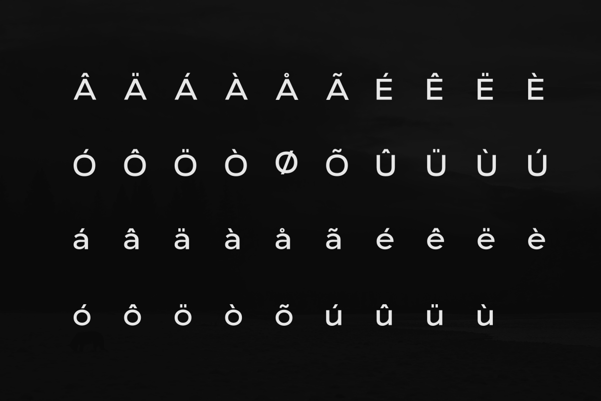 Stark Nue - a Premium Sans-serif, a Sans Serif Font by Webhance Studio (Photo 4 of 10)