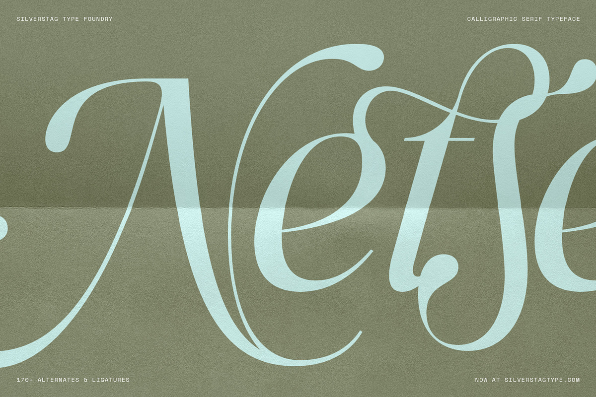 Netsera Calligraphic Serif Typeface, a Serif Font by SilverStag Type Foundry (Photo 6 of 30)