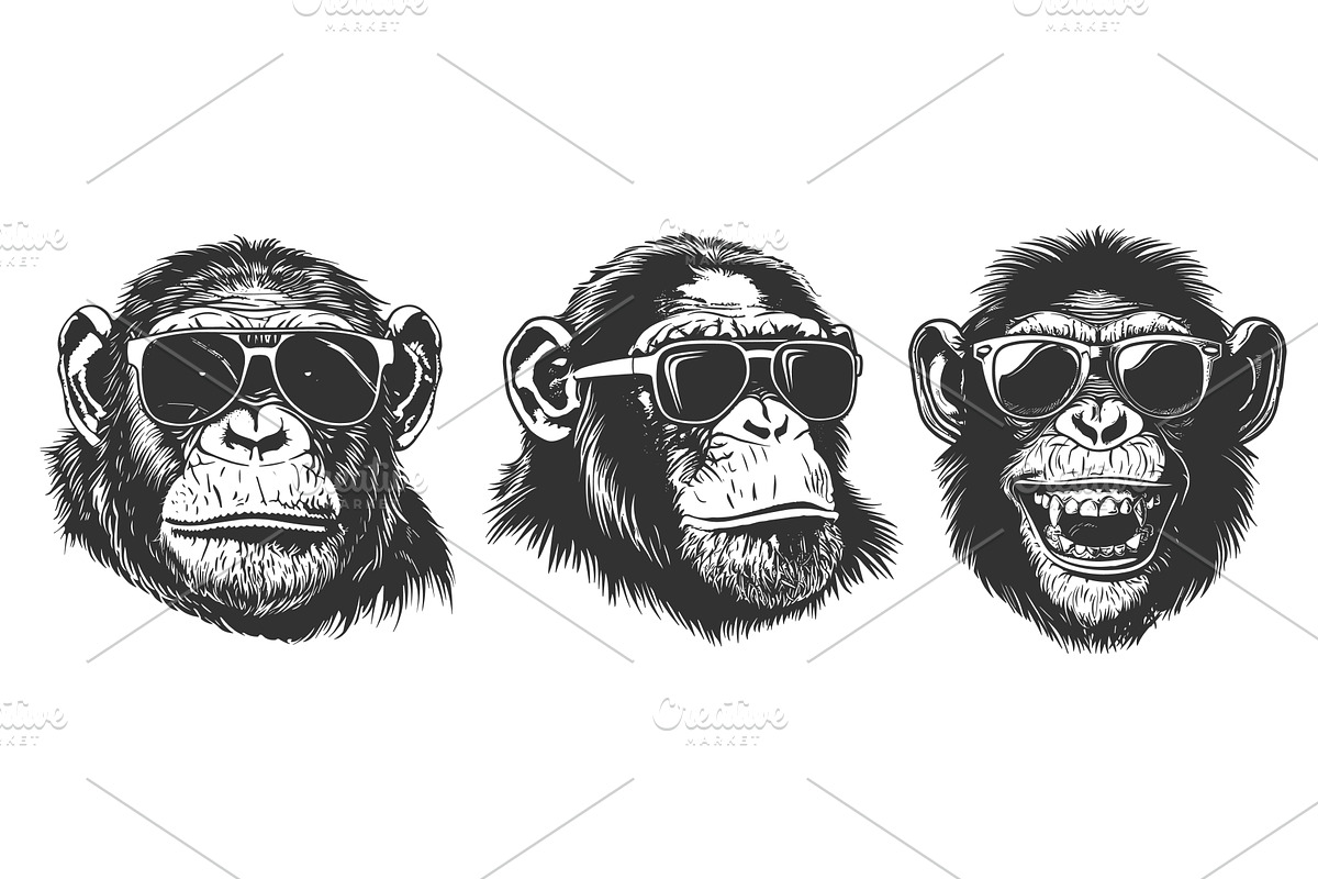 Chimpanzee potraite with sunglasses, an Animal Illustration by Valerie Bodnar