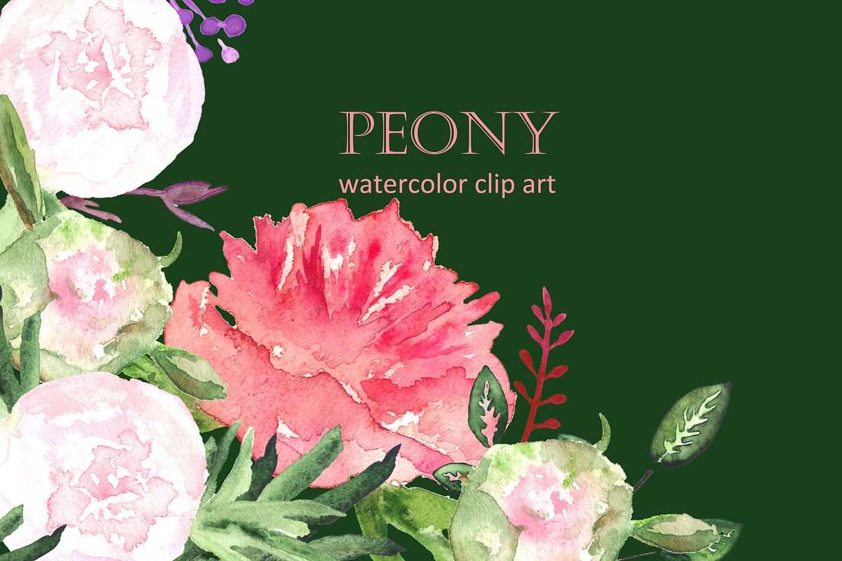 Peony watercolor collection, an Illustration by LABFcreations (Photo 1 of 3)
