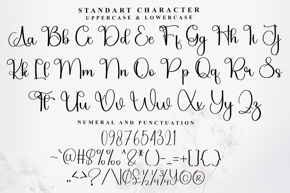 Signature, a Handwritten Font by FreshTypeINK (Photo 5 of 8)