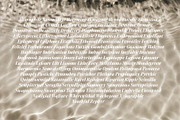 Editor's Note Display, a Serif Font by Jen Wagner Co (Thumbnail 8 of 22)