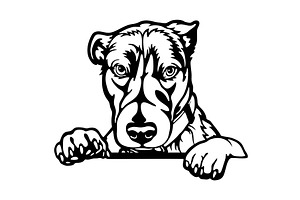 Jack Russell Terrier - Peeking Dogs, an Animal Illustration by Digital-Clipart