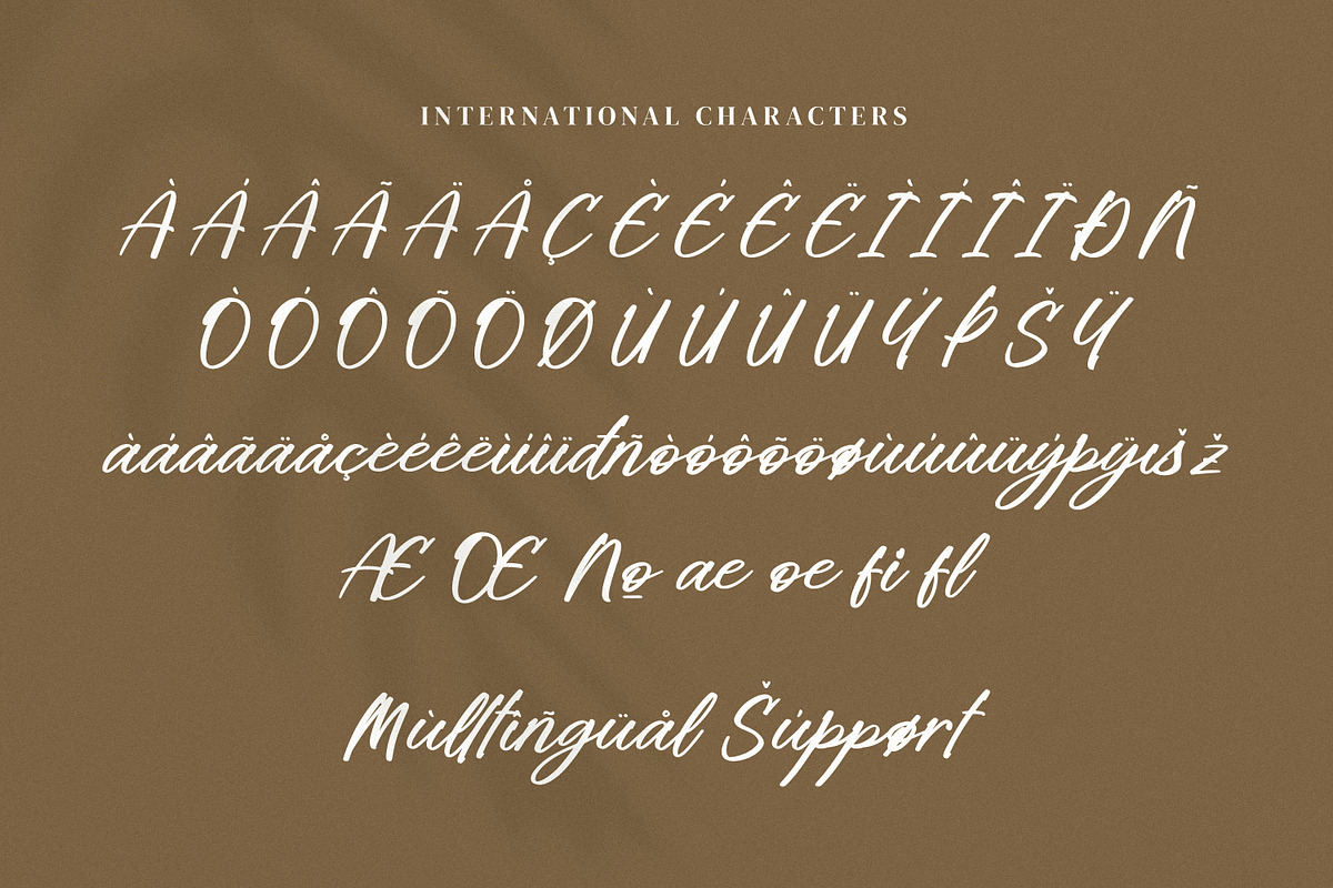 Briliany, a Handwritten Font by Goresan Studio (Photo 11 of 15)