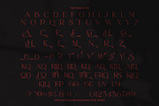 The Harid Elegant Serif Font, a Serif Font by Elegant Font (Thumbnail 8 of 8)