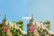 Vintage Summer Lightroom Presets, a Preset Add-On by PixaSquare (Thumbnail 12 of 13)