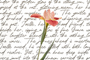 Rallys-Handwritten Script Font!, a Script Font by Scratch Design (Thumbnail 11 of 13)