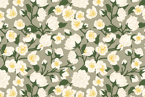 Jasmine Flowers Seamless Patterns