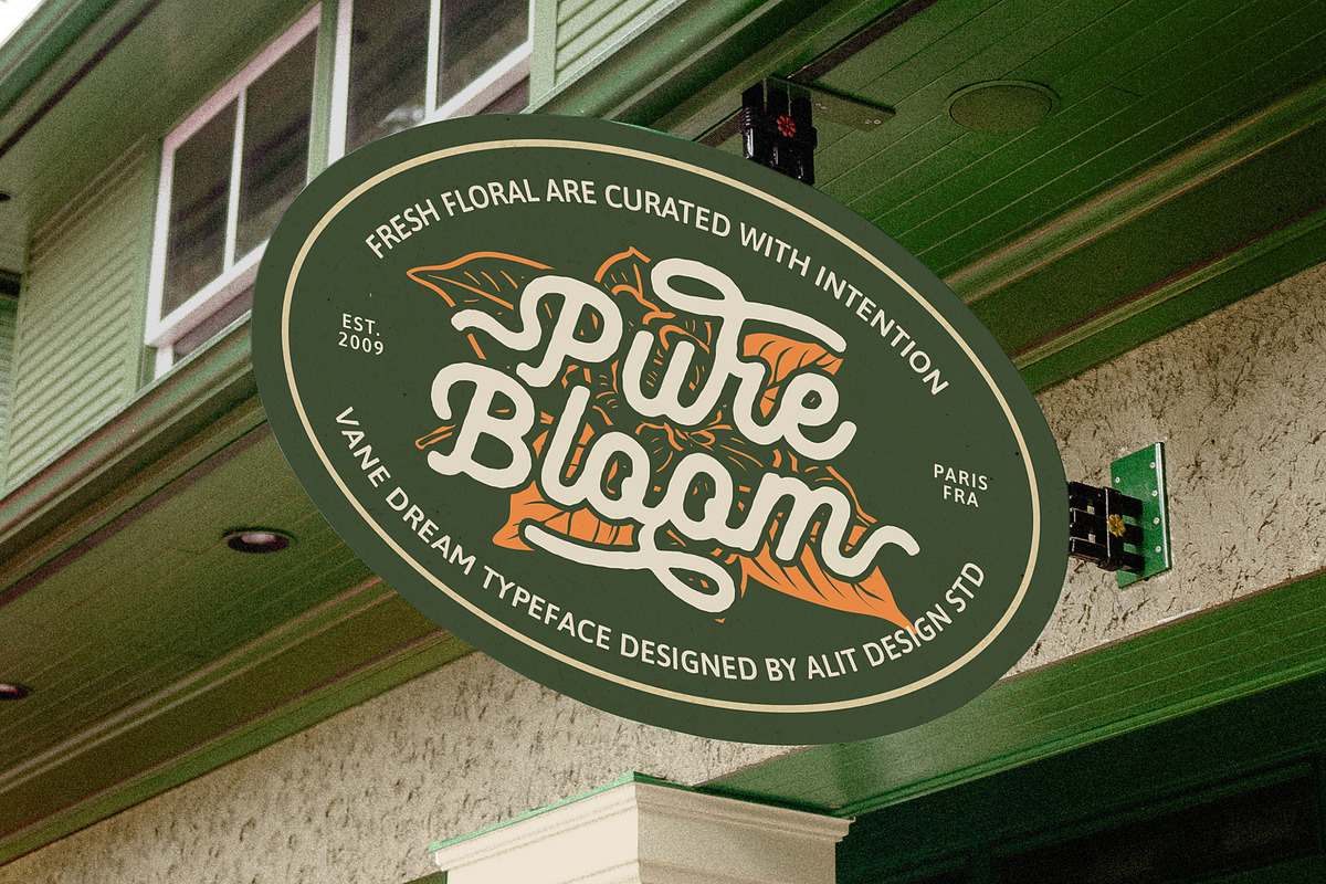 Vane Dream Typeface, a Script Font by alit design (Photo 14 of 15)