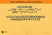 PM Aurora Casual Serif Font, a Serif Font by Paper Moon Graphic Supply (Thumbnail 7 of 18)