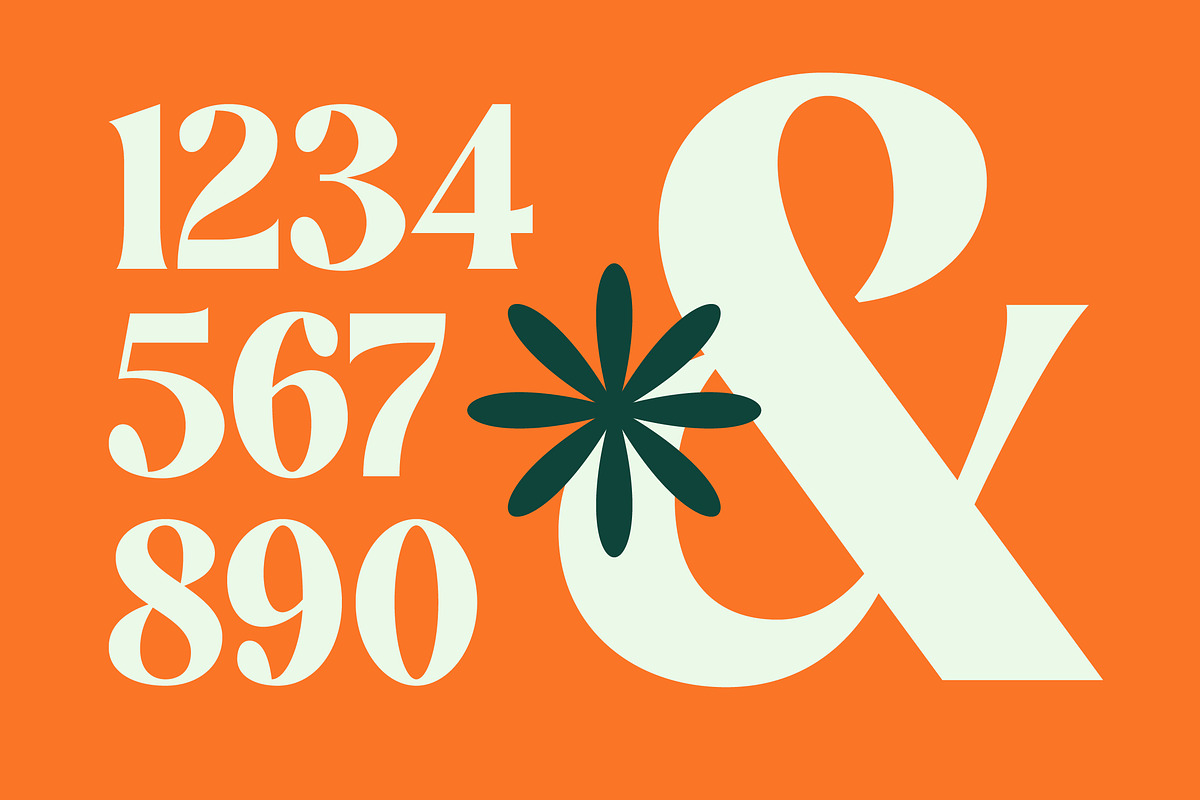 Myngo Bakery Modern Serif Font, a Serif Font by timelesstype.co (Photo 13 of 20)