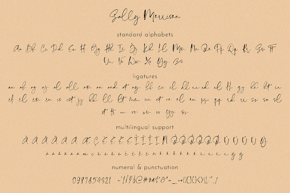 Sally Morrison Script & Serif, a Script Font by BlueRobinDesignShop (Photo 21 of 22)