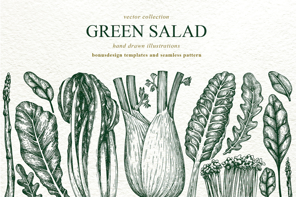 Green Salad Vector Collection, a Food Illustration by Lubov Illustrations Shop (Photo 1 of 7)