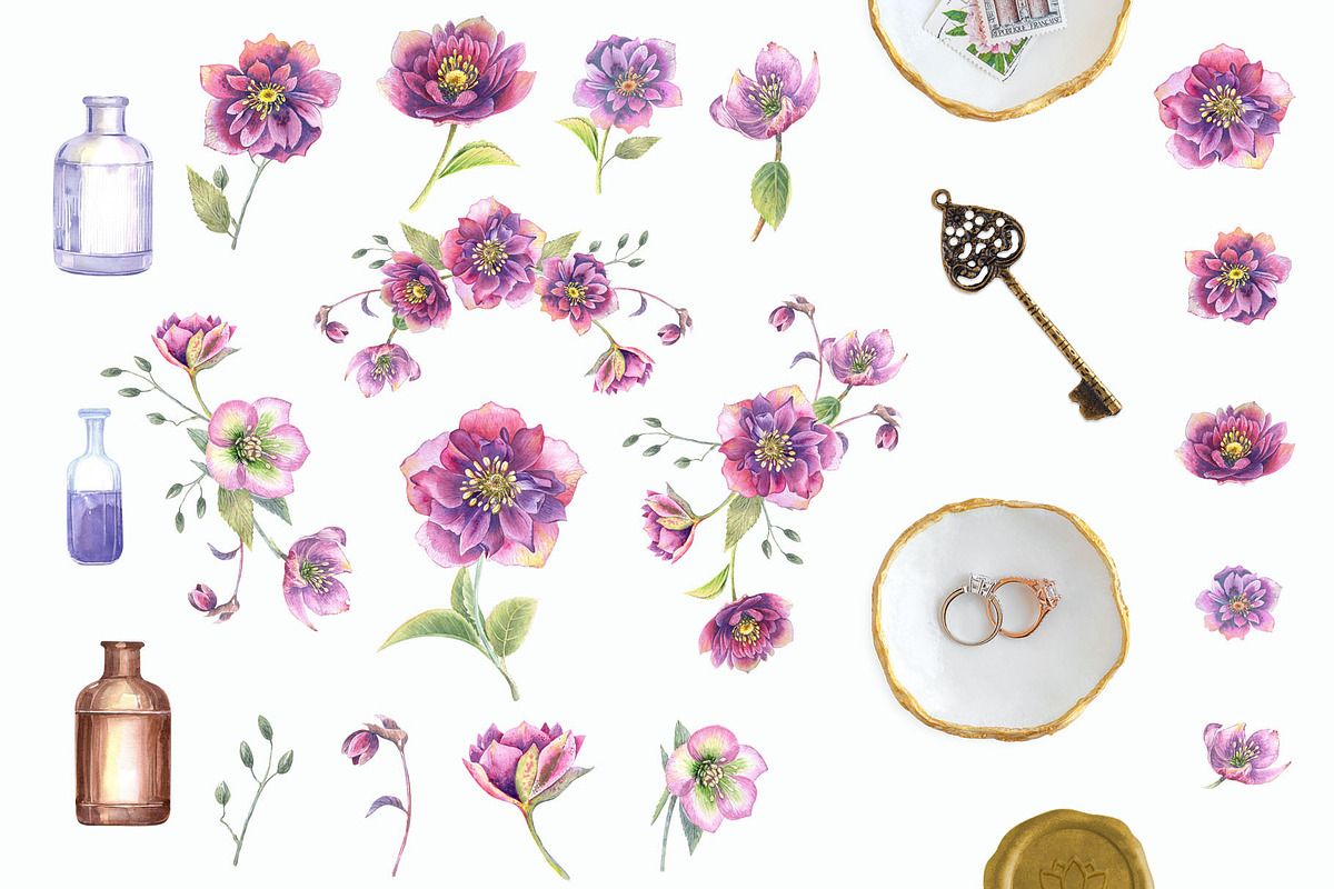 Spring Rose, an Illustration by JennyColorArt (Photo 2 of 8)