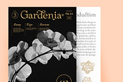 75% Off Rachee Display, a Font by Sundance Tipografia (Thumbnail 9 of 10)