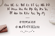 Karla Script, a Script Font by Noe Araujo (Thumbnail 3 of 4)