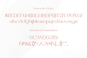 Delication, a Serif Font by Pinisi ART (Thumbnail 2 of 10)