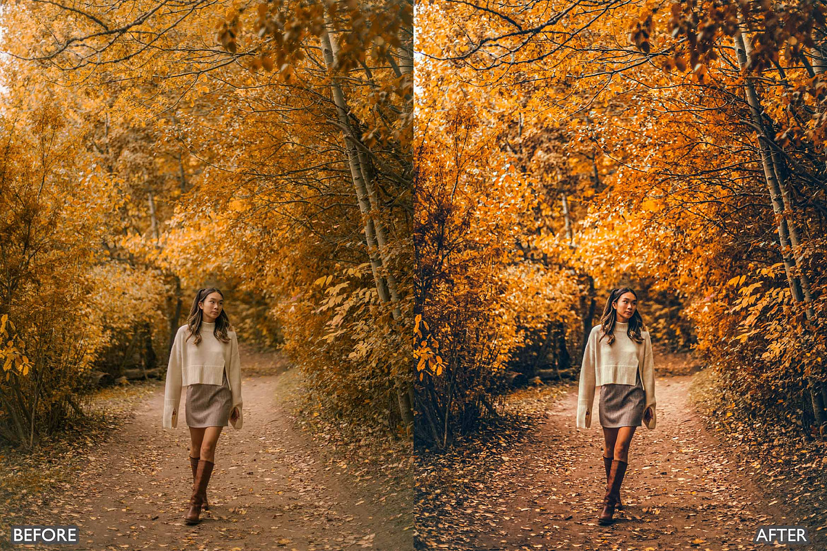 FALL PRESETS for Autumn Photos, a Preset Add-On by AAA Presets (Photo 18 of 22)