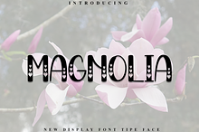 Magnolia