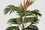 Botanical Master Collection, a Food Illustration by BlackBird Foundry (Thumbnail 10 of 10)