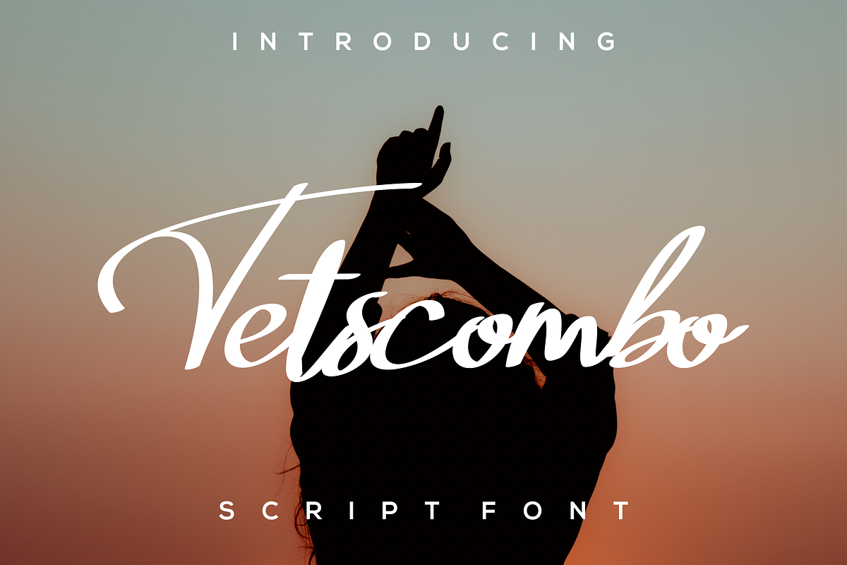 Tetscombo, a Script Font by lelevien (Photo 1 of 3)