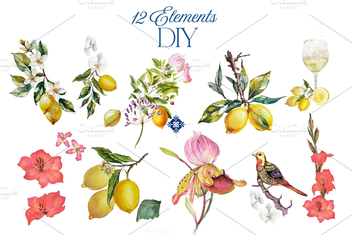 The Exotic Lemon Collection, an Object Illustration by Alisa Mikibith Art (Photo 18 of 18)