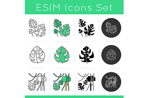 Rainforest plants icons set, an Outline Icon by IMG Visuals