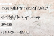 Seaside Font + Watercolor SVG, a Script Font by Cate Shaner (Thumbnail 10 of 11)