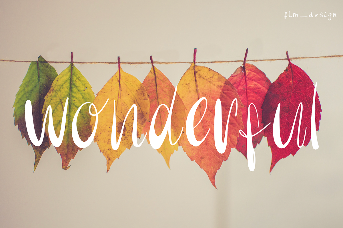 Wedding Handwritten Font, a Handwritten Font by Flm__design (Photo 6 of 7)