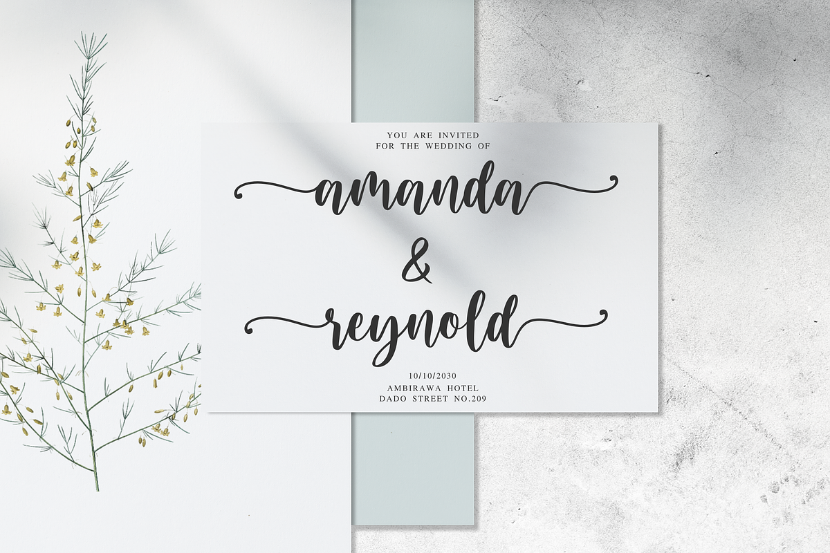 Blushring - Modern Calligraphy, a Script Font by Sibelumpagi Studio (Photo 5 of 11)