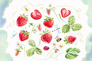 Watercolor strawberry PNG + insects, an Illustration by Alena Kurian (Thumbnail 2 of 3)