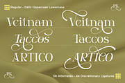 Dalnite - Modern Luxury Font, a Serif Font by RagamKata (Thumbnail 8 of 11)