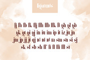 Inure - Serif Typeface + More, a Serif Font by VP Fonts (Thumbnail 8 of 11)