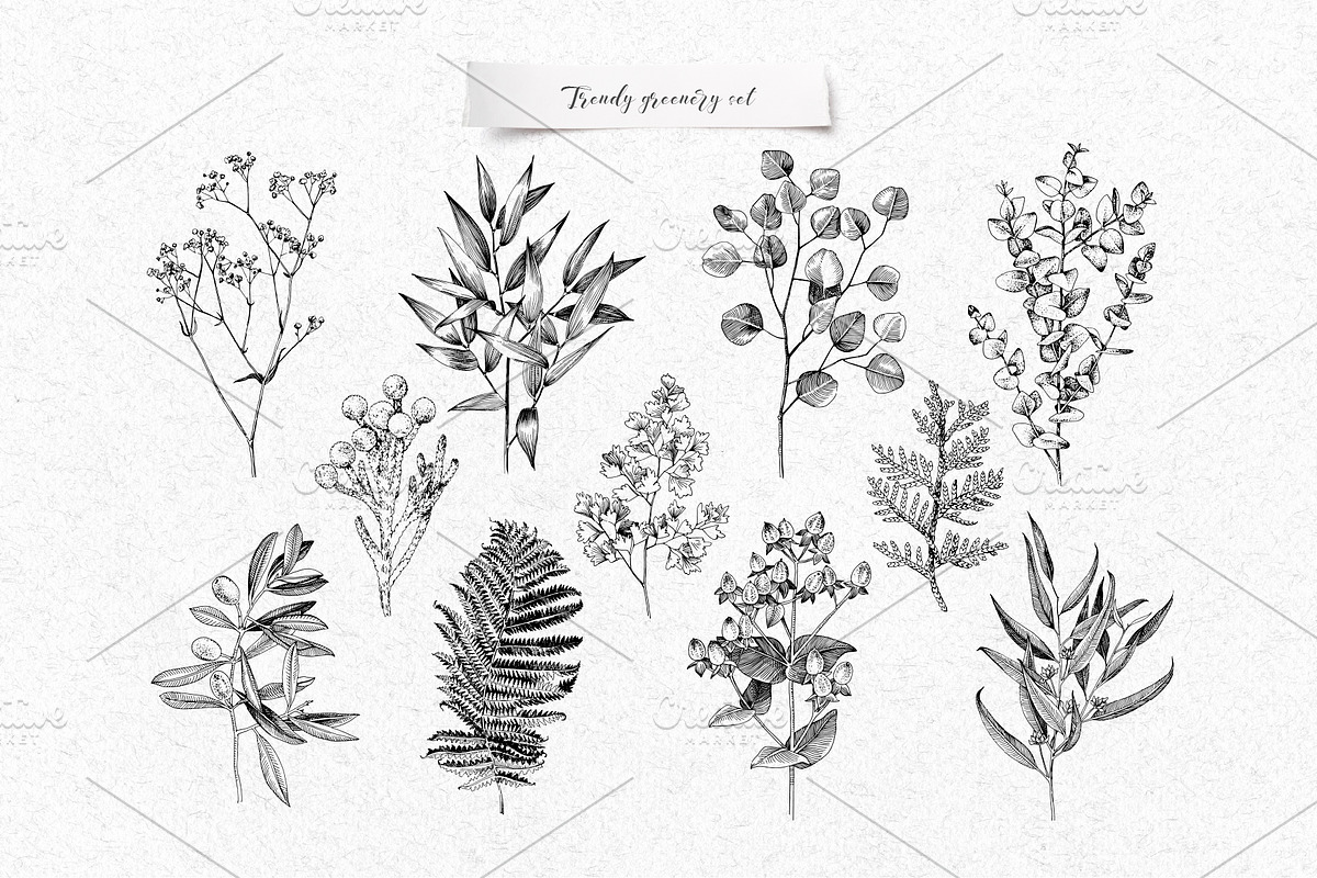 Tropical gold, a Decorative Illustration by handsketched (Photo 14 of 15)
