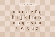 Baikan, a Serif Font by Rishsketch (Thumbnail 7 of 13)