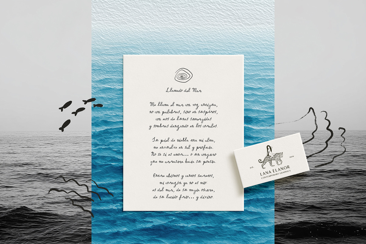 SEASCAPE Line, Seashells & Textures, an Object Graphic by Lana Elanor (Photo 8 of 11)