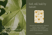 120 Calm Nature Texture Backgrounds, a Background Graphic by Make Stories Studio (Thumbnail 5 of 13)